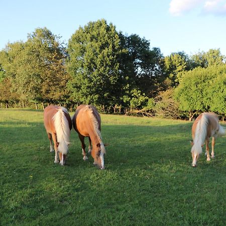 Les Grands Frenes Bed & Breakfast Plaine-de-Walsch Eksteriør bilde